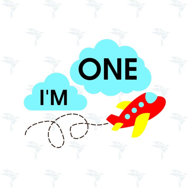1st Airplane Birthday
