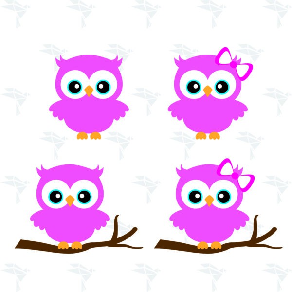 Cute Owl