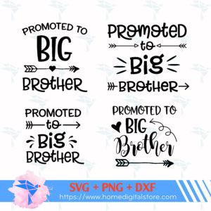 Promoted Big Brother