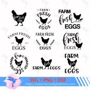 Farm Fresh Egg