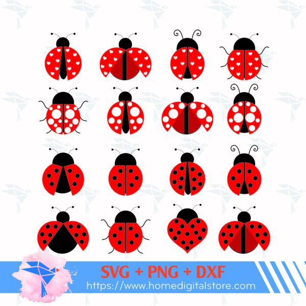 Lady Bug