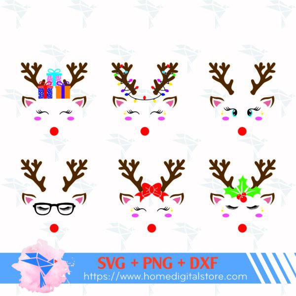 Reindeer Face Iii 11