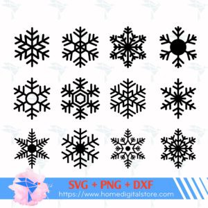 Snowflake 11 01