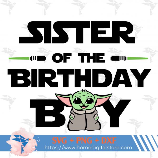 Sister Birthday Boy