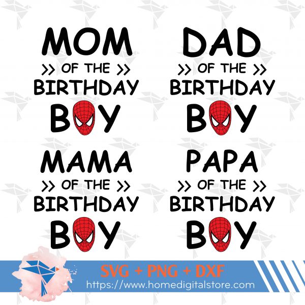 Birthday Boy Spiderman Family Ii Bg 01