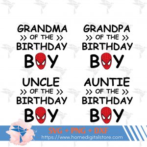 Birthday Boy Spiderman Family Iii Bg 01