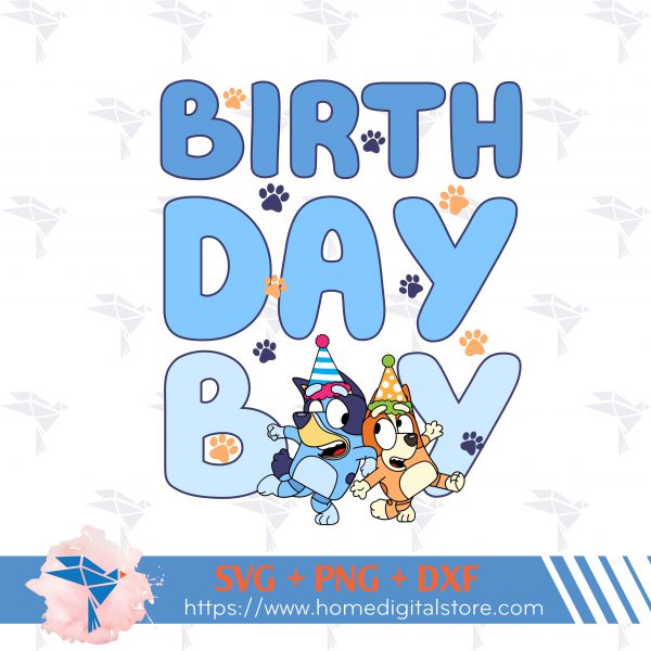 Birthday Boy Bluey