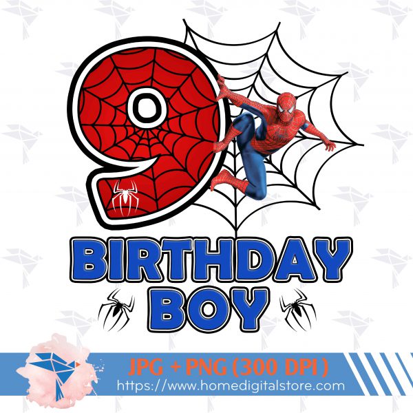 9th Birthday Spiderman 01