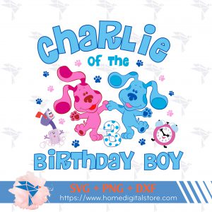 Birthday Boy Blues Clues