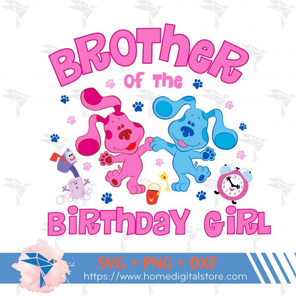 Brother of the Birthday Girl Blues Clues