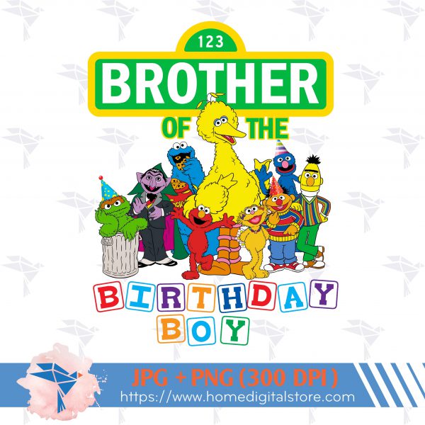 Brother of the Birthday Boy Seasame Street