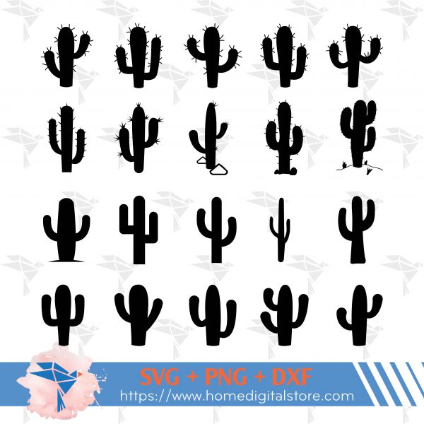 Cactus Silhouette