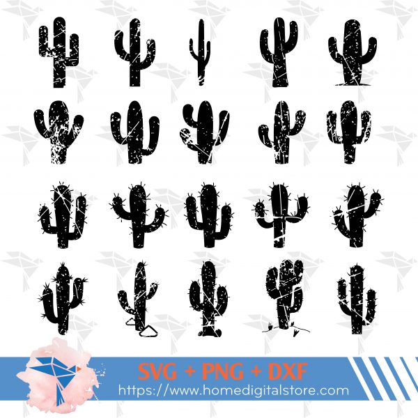 Distressed Cactus