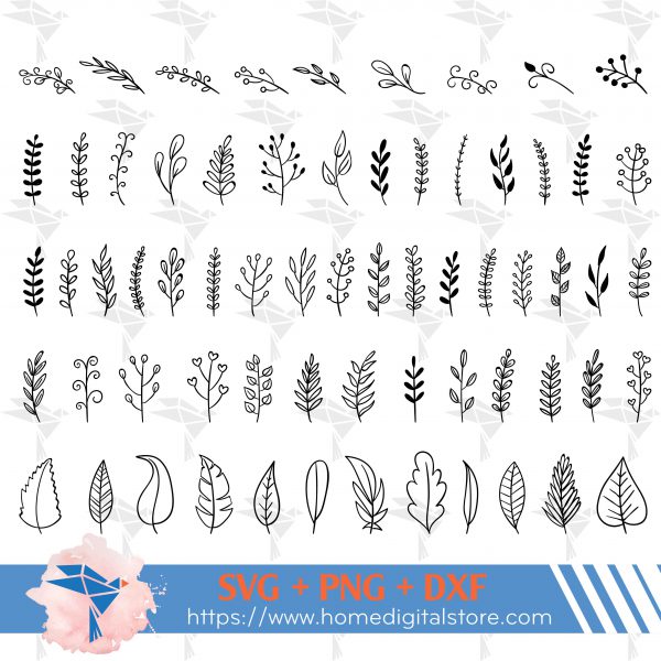 Hand Draw Leaf