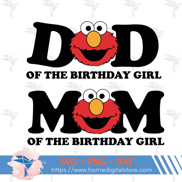 Seasame Street Birthday Girl Family