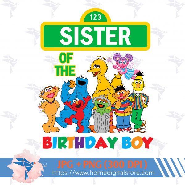 Seasame Street Sister of the Birthday Boy