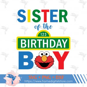 Sister of the Birthday Boy Sesame