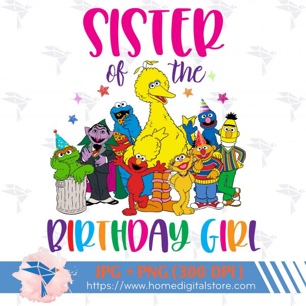 Sister of the Birthday Girl Seasame Street