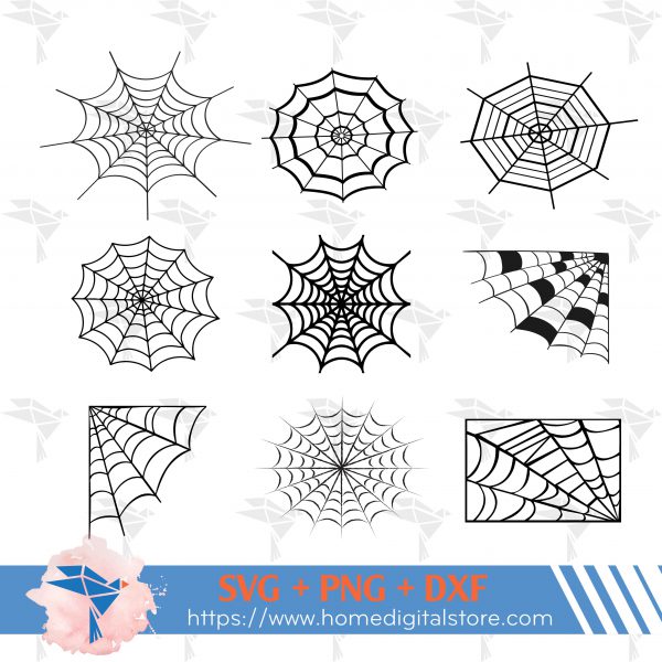 Spider Web
