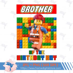 Brother of the Birthday Boy Lego