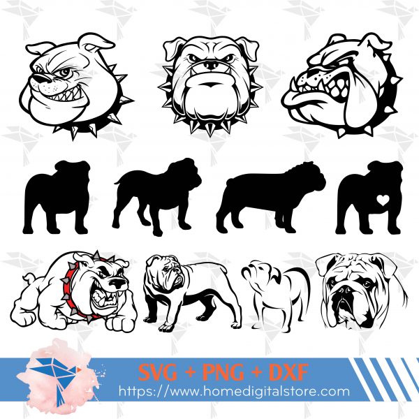Bulldog