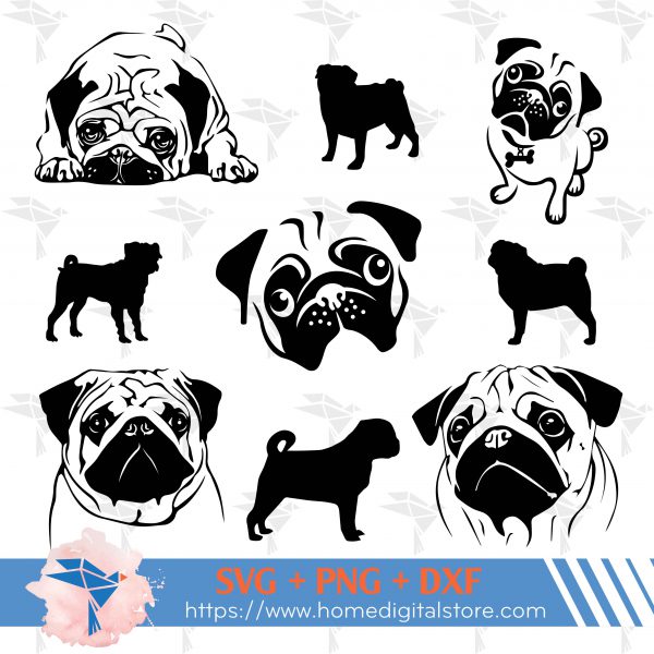 Pug