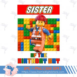 Sister of the Birthday Boy Lego