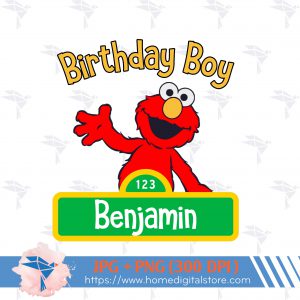 Sesame Street Birthday Boy