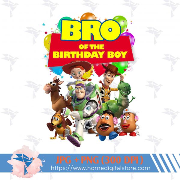 Bro of the Birthday Boy Toy Story