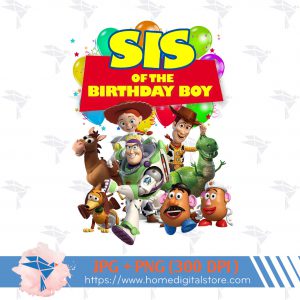Sis of the Birthday Boy Toy Story