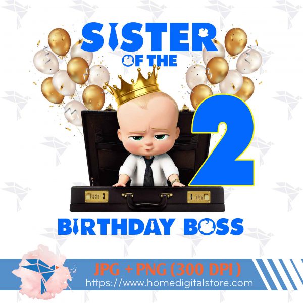 Brother of the Birthday Baby Boy Boss