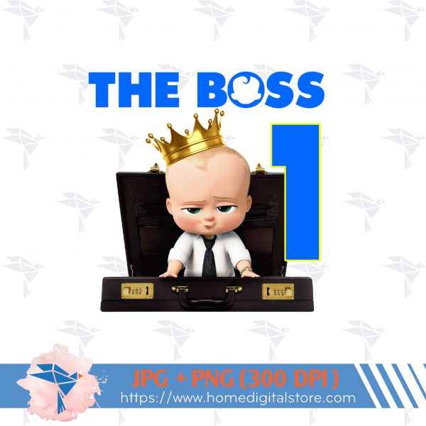 Birthday Baby Boy Boss