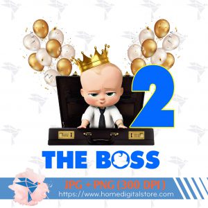 Birthday Boy Baby Boss
