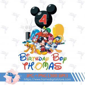 Birthday Boy Disney