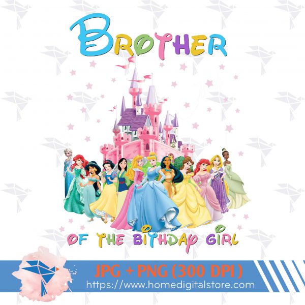 Brother of the Birthday Girl Princess