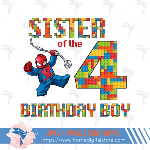 Sister Birthday Boy Lego