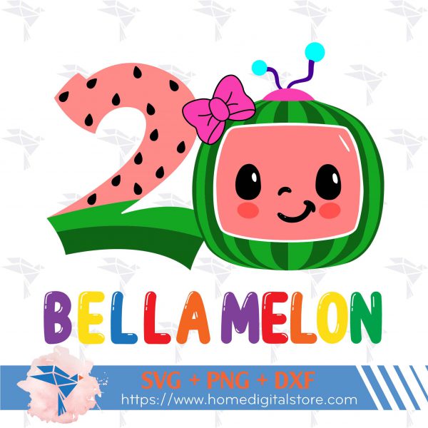 2nd Birthday Cocomelon