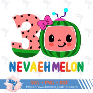 3rd Birthday Cocomelon