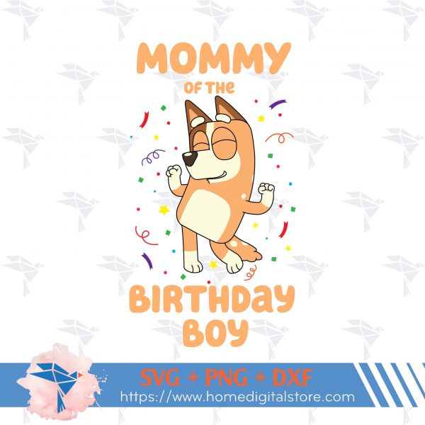 Mommy of the Birthday Boy Bluey