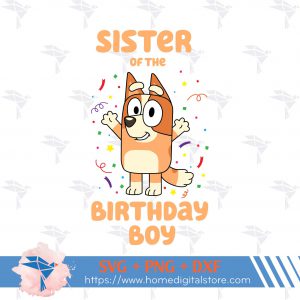 Sister of the Birthday Boy Bluey