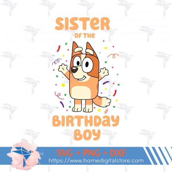 Sister of the Birthday Boy Bluey