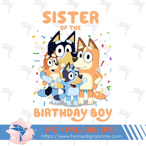 Sister of the Birthday Boy Bluey