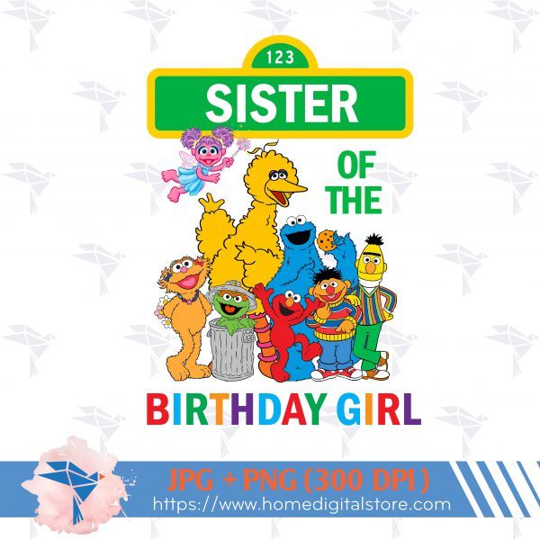 Sesame Street Sister of the Birthday Girl