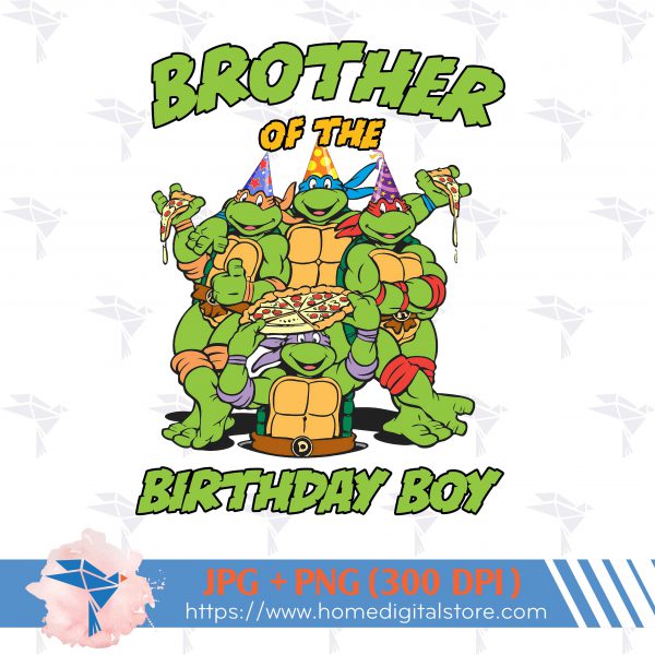 Brother of Birthday Ninja Turtle