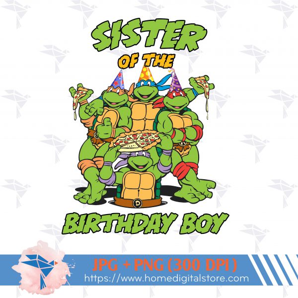 Sister of Birthday Ninja Turtle