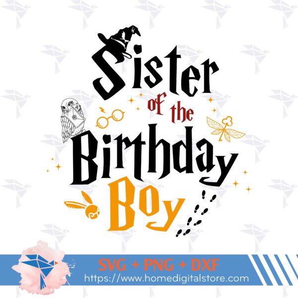 Sister of the Birthday Boy Harry Potter