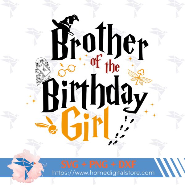 Brother of the Birthday Girl Harry Potter