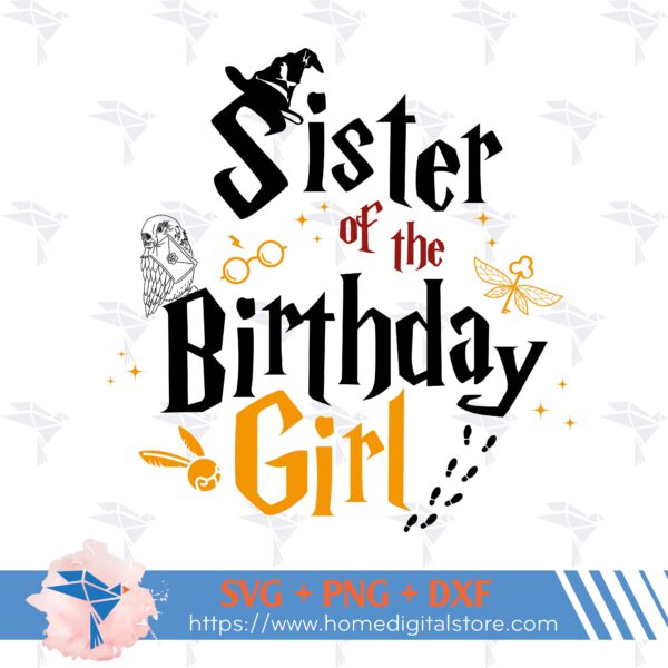 Sister of the Birthday Girl Harry Potter