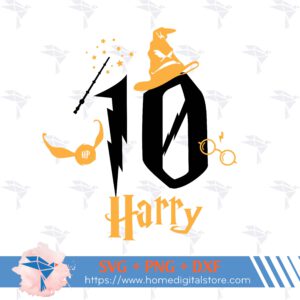 Birthday Harry Potter