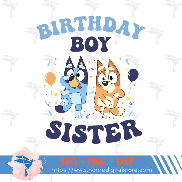 Sister Birthday Boy Bluey